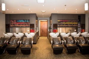 Americana Salon & Spa, Roseland, NJ    